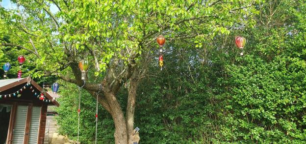 Hot air balloon shaped lights hanging from a tree in a garden.
