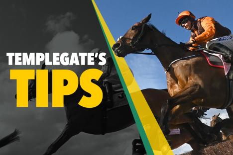 Horse racing tips: ‘He’s improving with every run’ – Templegate’s 5-1 NAP to spark a Plumpton party for Willie Mullins