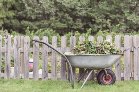 Wheelbarrow full of weeds next to a wooden fence.