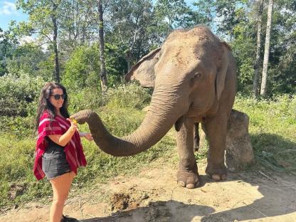 Woman feeding an elephant.