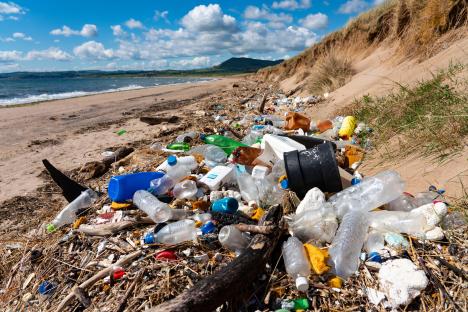 Plastic waste on a beach.