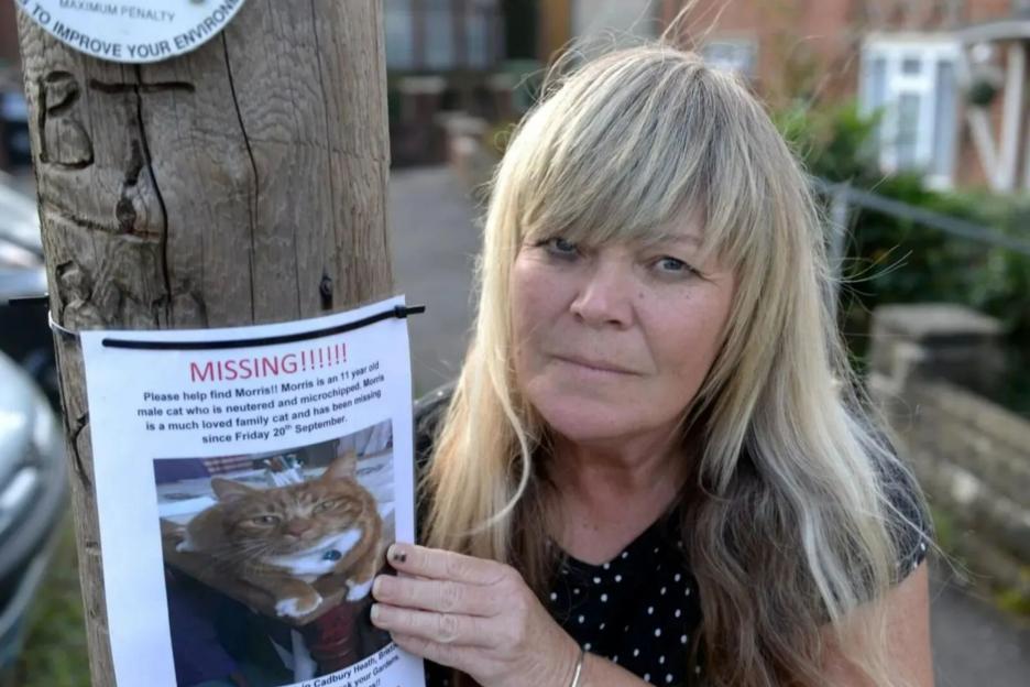 My beloved cat Morris was mutilated & killed by sick torture cult – how psychos target YOUR pets to abuse in vile videos