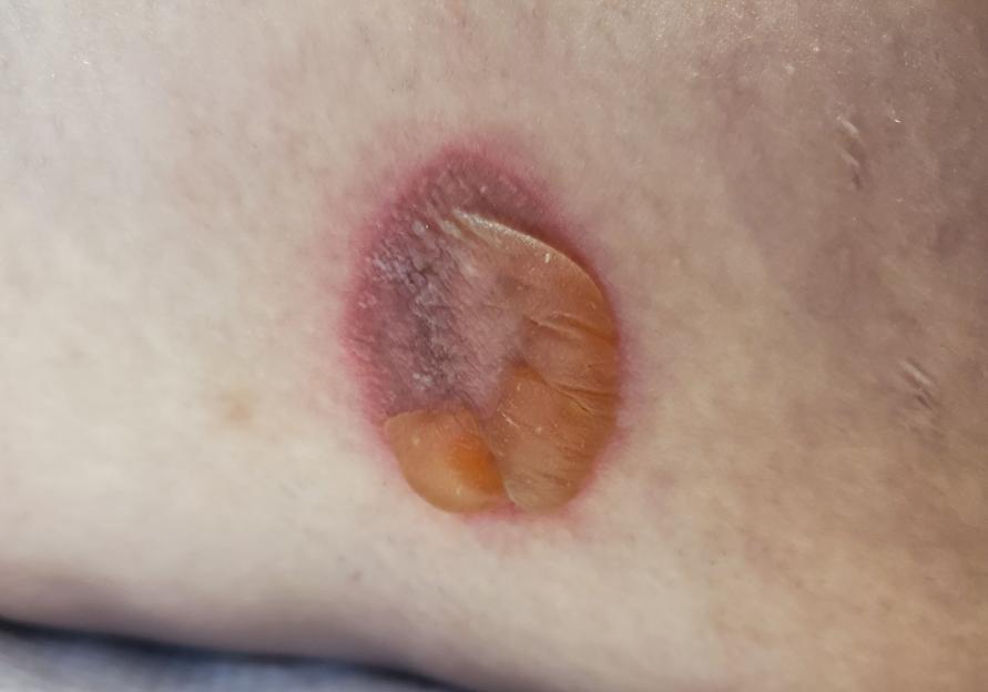 NINTCHDBPICT001034902651