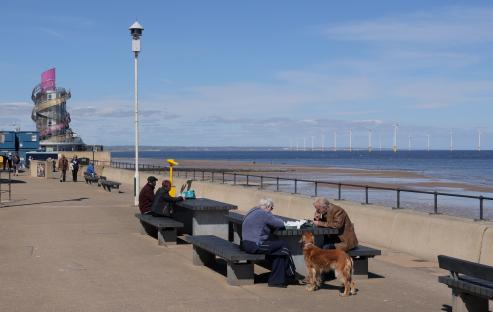 People sitting at picnic tables by the sea with a dog, wind turbines in the distance.