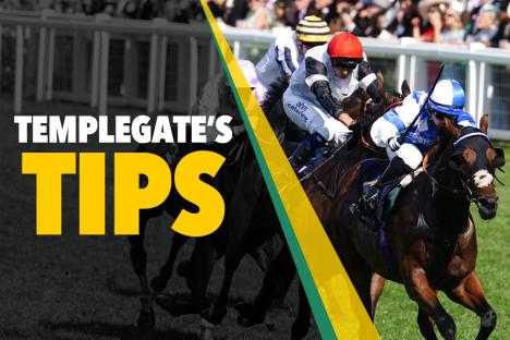 Horse racing tips: ‘He looks a Group 1 winner-in-waiting’ – Templegate’s NAP to burn up Newmarket