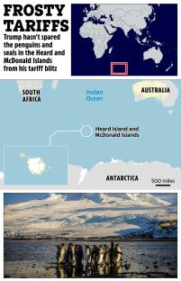 Map showing the location of Heard Island and McDonald Islands, and a photo of king penguins.