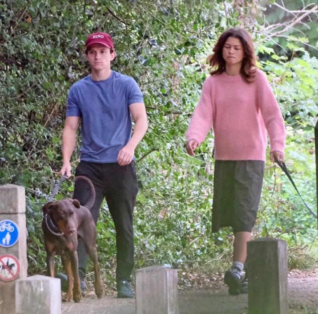 Tom Holland and Zendaya walking a dog.