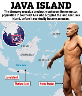 Illustration of Homo erectus and map showing Java Island and surrounding areas.