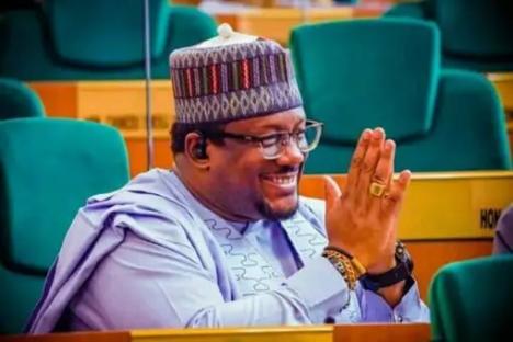Niger reps’ ‘I cannot steal to please you comment’ generates backlash