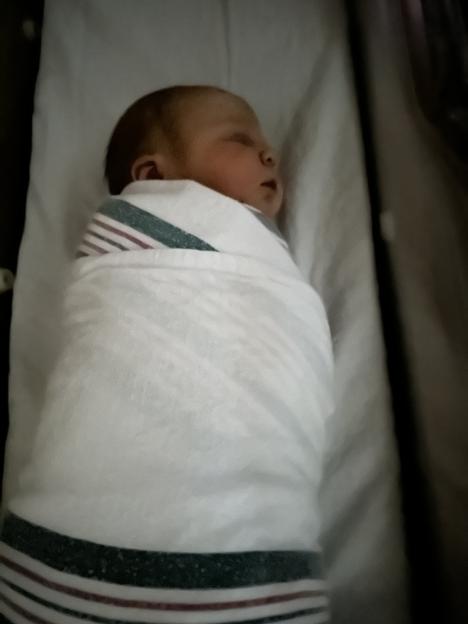 Newborn baby sleeping in a bassinet.