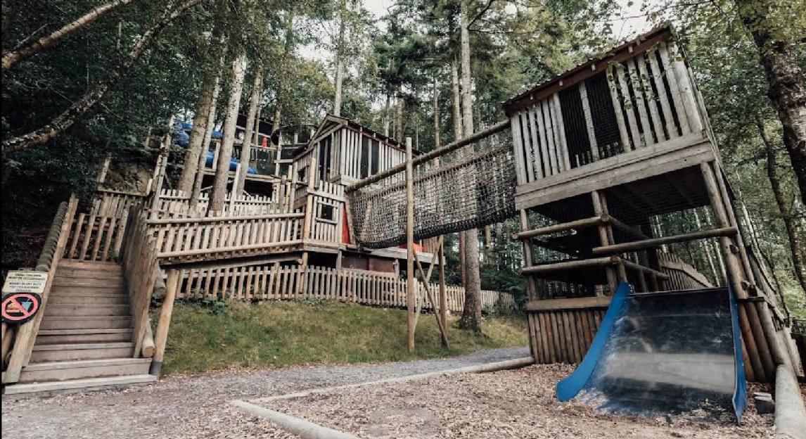 Wooden playground structure in a forest.