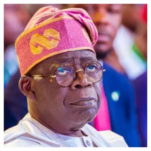Composition of census committee favour South-West, marginalize other regions – Northern Elders to Tinubu