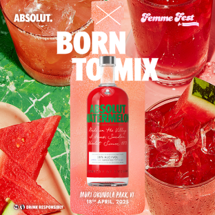 Own Your Vibe with Beefeater Pink, Absolut Watermelon, and Ballantine's at Femme Fest Lagos 2025 3
