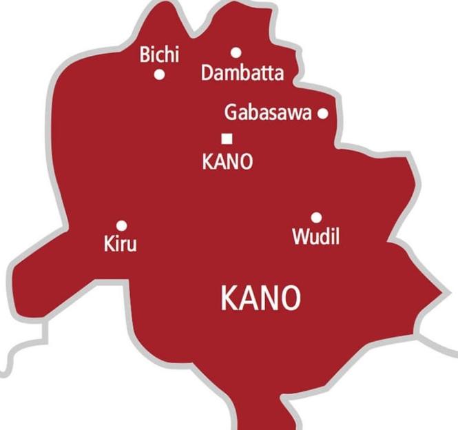 Kano Commissioner resigns