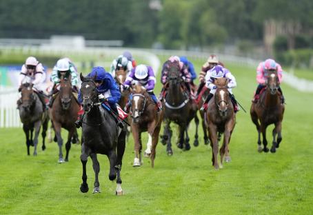 ‘A touch of class’ – Templegate’s best tips for the 2025 Flat season including a 33-1 Aidan O’Brien outsider