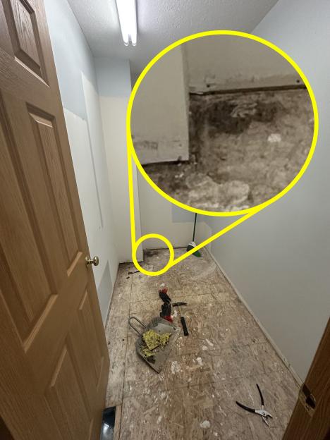 Mold discovered in a home's corner.