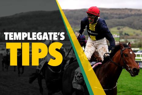 Horse racing tips: ‘Plenty of staying power’ – Templegate’s NAP due a big one after strong run of form
