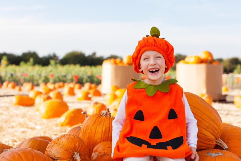 A cheerful boy in a pumpkin costume laughing at a pumpkin patch.