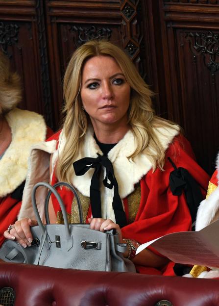 Baroness Michelle Mone in the House of Lords.