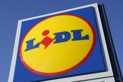 Bargain hunters go wild for £8 Lidl buy that will transform your fence for summer – and it’s even cheaper in Asda & B&M