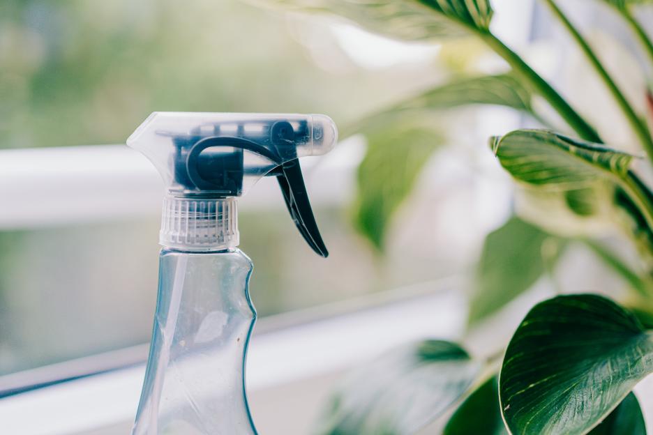 Close-up of a spray bottle next to a plant.