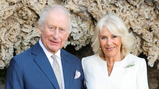 King Charles lands in Italy for ‘historic’ state visit just hours after estranged son Prince Harry flew to UK