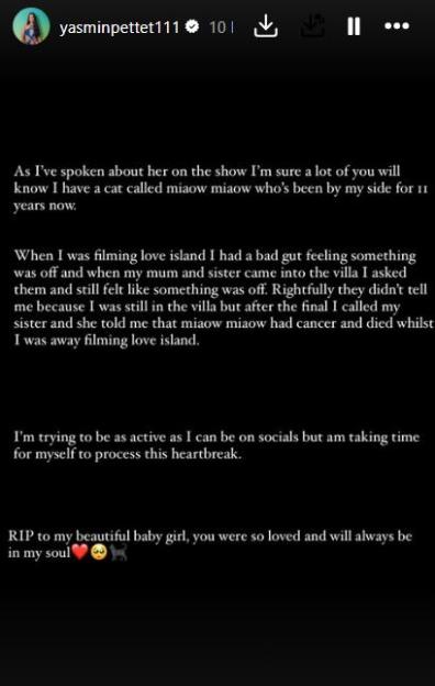 Screenshot of Instagram post announcing the death of the author's cat.