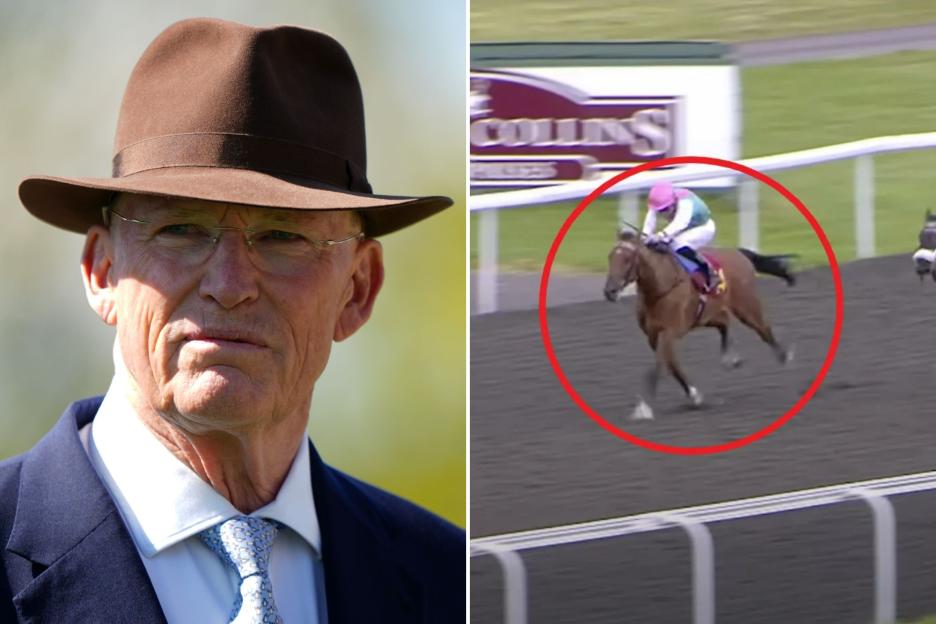 John Gosden fined after yard worker who took ketamine three days a week contaminated horses including ‘the new Enable’