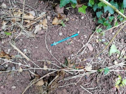 Discarded syringe on the ground.
