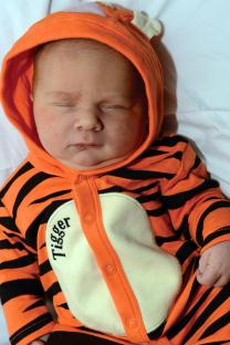 Sleeping baby in a tiger outfit.