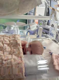 Newborn baby in an incubator.
