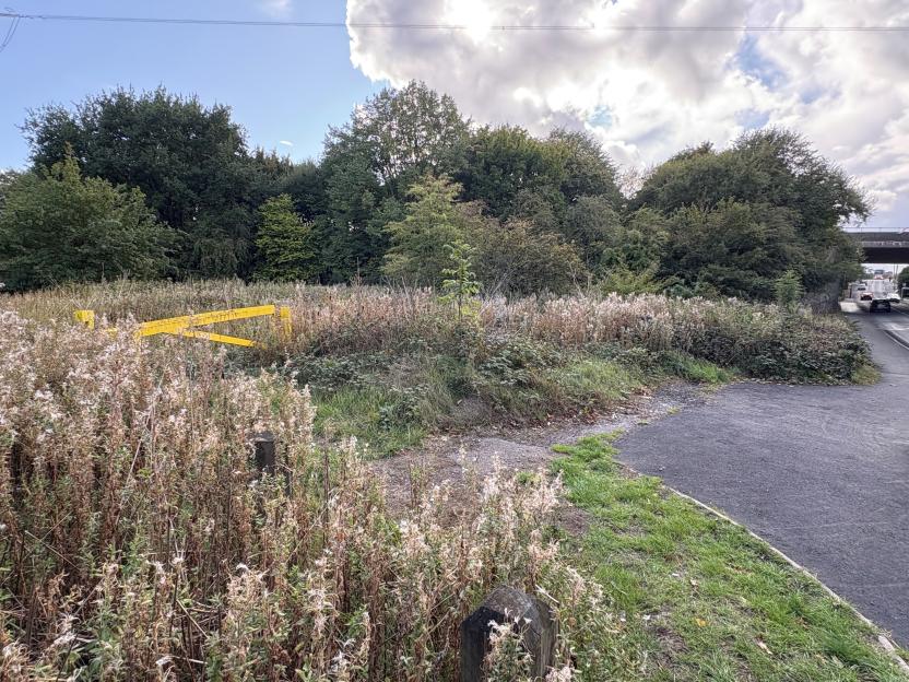 Overgrown grassland near a road, with a yellow barrier.