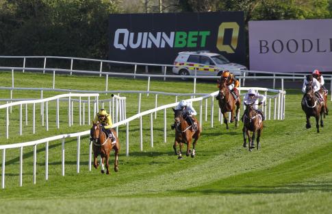 Horse race at Punchestown.