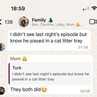 Screenshot of a text message conversation showing that two people slept in a cat litter tray.