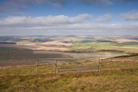 Rolling hills of the South Downs National Park.