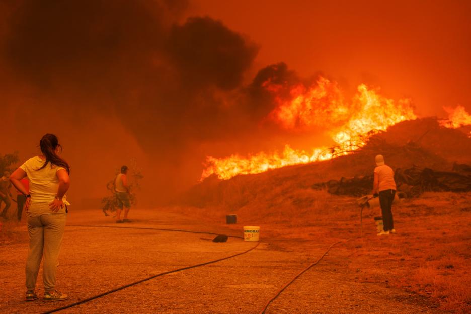 People fighting a large forest fire.