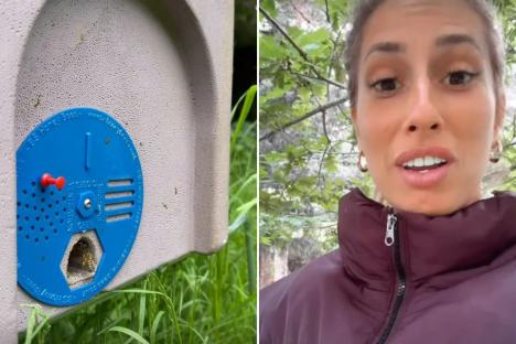 Stacey Solomon reveals ANOTHER new addition to Pickle Cottage amid ‘career fears’ after Bafta rant