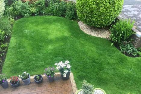 Gardeners MUST carry out essential task if they want to get thick, bushy & super green lawns that last all summer