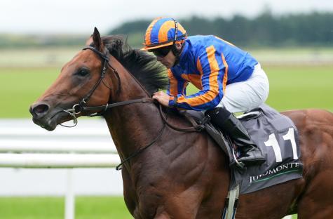 Jockey riding a horse in a race.