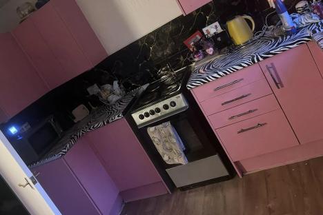 I’m a single mum & gave my kitchen a pink zebra transformation with The Range bargains – some hate it but I’m made up