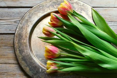 My basic 2p trick will stop your Mother’s Day flowers from drooping & keep them blooming until Easter weekend