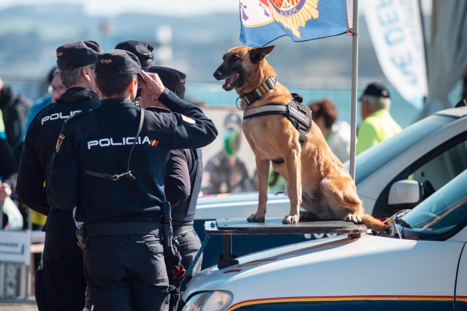 Police dog during an exhibition