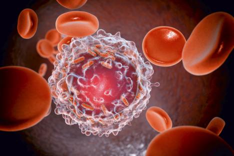 Millions of Brits could be ‘cancer resistant’ and discovery could help find a cure
