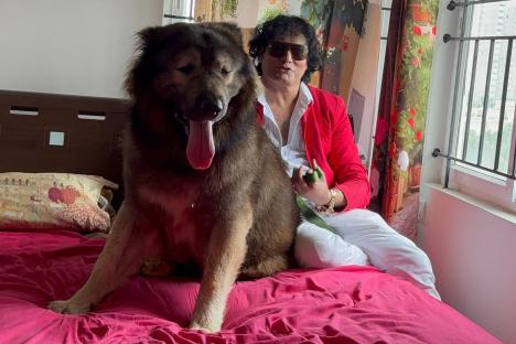 Owner of world’s most expensive dog vows to buy donkey-sized pooch worth £10million – and needs a HELICOPTER to ship it