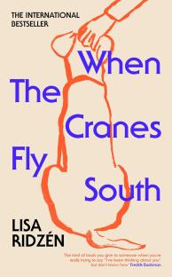 Book cover illustration for Lisa Ridzen's