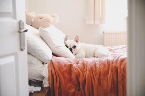 I’m an interiors expert – here’s how to make your small bedroom look bigger on a budget