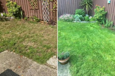 My lawn was brown & patchy with loads of bald spots – a £4.99 Home Bargains buy got it lush & green in two weeks