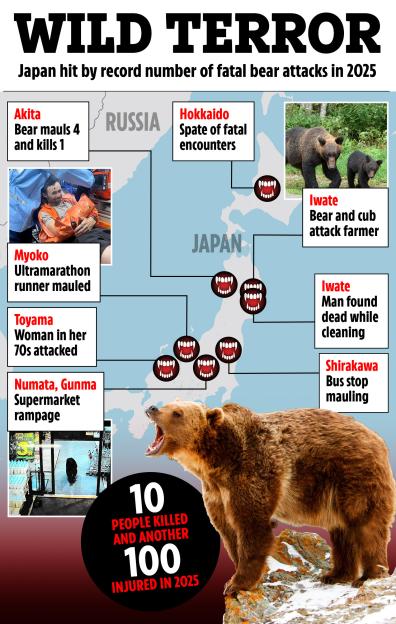 Collage of images illustrating bear attacks in Japan.