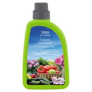 Tesco Liquid Seaweed Concentrate bottle.