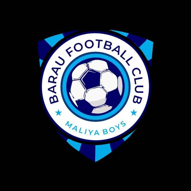 NPFL: Barau FC sign Ambrose, Okoko Jr